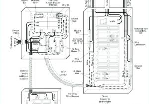 100 Amp Manual Transfer Switch Wiring Diagram Reliance Wiring Diagrams Wiring Diagram 100 Amp Manual Transfer Switch Wiring Diagram Reliance Wiring Diagrams Wiring Diagram