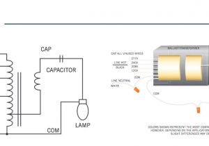 100 Watt Metal Halide Ballast Wiring Diagram 100 Mh Ballast Wiring Diagram 100 Watt Metal Halide Ballast Wiring Diagram 100 Mh Ballast Wiring Diagram