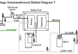 100 Watt Metal Halide Ballast Wiring Diagram 100 Watt Metal Halide Ballast Wiring Diagram 100 Watt Metal Halide Ballast Wiring Diagram 100 Watt Metal Halide Ballast Wiring Diagram