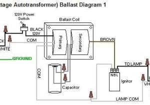 100 Watt Metal Halide Ballast Wiring Diagram 100 Watt Metal Halide Ballast Wiring Diagram