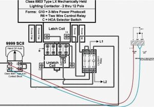 100 Watt Metal Halide Ballast Wiring Diagram Metal Halide Ballast Wiring Diagram Wiring Diagram 100 Watt Metal Halide Ballast Wiring Diagram Metal Halide Ballast Wiring Diagram Wiring Diagram
