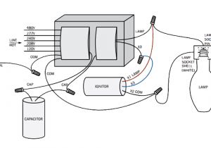 100 Watt Metal Halide Ballast Wiring Diagram Wiring Diagram 100 Watt Metal Halide Ballast 100 Watt Metal Halide Ballast Wiring Diagram Wiring Diagram 100 Watt Metal Halide Ballast