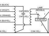 100 Watt Metal Halide Ballast Wiring Diagram Wiring Manual Pdf 100 Watt Metal Halide Wiring Diagram 100 Watt Metal Halide Ballast Wiring Diagram Wiring Manual Pdf 100 Watt Metal Halide Wiring Diagram