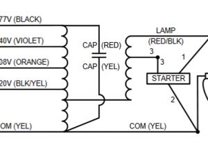 100 Watt Metal Halide Ballast Wiring Diagram Wiring Manual Pdf 100 Watt Metal Halide Wiring Diagram 100 Watt Metal Halide Ballast Wiring Diagram Wiring Manual Pdf 100 Watt Metal Halide Wiring Diagram