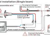 1000 Watt Ballast Wiring Diagram Hid Ballast Wiring Diagram 208v Mt My Wiring Diagram
