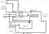 1000 Watt Ballast Wiring Diagram Hps Wiring Diagram Wiring Diagram Article Review
