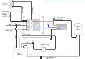 1000 Watt Ballast Wiring Diagram Hps Wiring Diagram Wiring Diagram Article Review