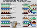 1000base T Wiring Diagram 1000base T Wiring Diagram Wiring Diagram 1000base T Wiring Diagram 1000base T Wiring Diagram Wiring Diagram