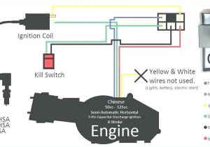110cc Chinese atv Wiring Diagram atv Wiring Diagram Wiring Diagram Centre
