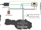 110cc Pit Bike Wiring Diagram Dc 5 Wire Cdi Diagram Wiring Diagram Centre