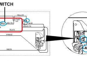 115v Motor Wiring Diagram 1081 Pool Motor Wiring Diagram Wiring Diagram Fascinating