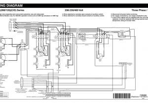 120 Volt thermostat Wiring Diagram Wiring Diagram 208 230 460 Volt P6sp 090 120 C D Series