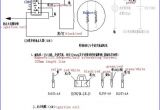 125 Pit Bike Wiring Diagram 125cc Pit Bike Wiring Diagram