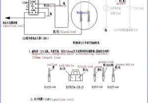 125 Pit Bike Wiring Diagram 125cc Pit Bike Wiring Diagram