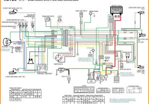 125 Pit Bike Wiring Diagram Diagram Motorcycle Wire Diagram for Lifan 125cc Engine