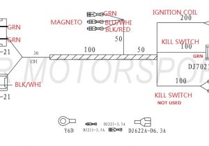 125 Pit Bike Wiring Diagram Diagram Wiring A Headlight and A Tail Light for Lifan