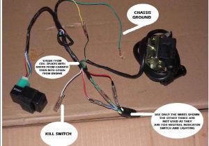 125 Pit Bike Wiring Diagram Lifan 125cc Pit Bike Wiring Diagram Hobbiesxstyle