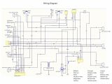 125 Pit Bike Wiring Diagram Ssr 125 Pit Bike Wiring Diagram Complete Wiring Schemas