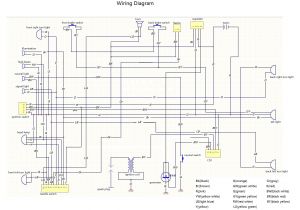 125 Pit Bike Wiring Diagram Ssr 125 Pit Bike Wiring Diagram Complete Wiring Schemas