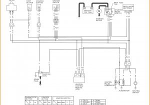125 Pit Bike Wiring Diagram Ssr 125 Pit Bike Wiring Diagram Wiring Diagram