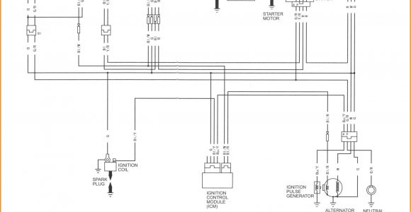 125 Pit Bike Wiring Diagram Ssr 125 Pit Bike Wiring Diagram Wiring Diagram