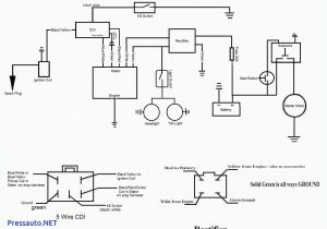 125 Pit Bike Wiring Diagram Zongshen 125cc Wiring Diagram Auto Electrical Wiring Diagram