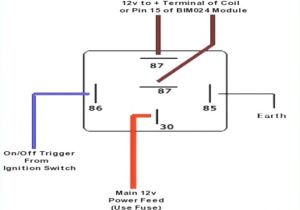 12v Auto Relay Wiring Diagram 5 Post Relay Wiring Diagram Diagram Base Website Wiring
