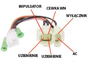 12v Yamaha Raptor 700r Wiring Diagram Zundmodul Entriegelt Gerippt 2t Www Motor X De Online Store 12v Yamaha Raptor 700r Wiring Diagram Zundmodul Entriegelt Gerippt 2t Www Motor X De Online Store