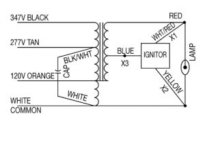 150 Watt Hps Ballast Wiring Diagram Bg 0697 150 Watt Halide Lamp Wiring Diagram Wiring Diagram