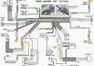 150cc Buggy Wiring Diagram Gy6enginediagram Yerf Dog 150cc Engine Wiring Harness Also Diagram