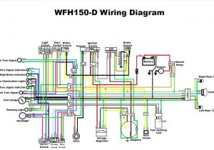 150cc Buggy Wiring Diagram Wiring Diagram for Gy6 150cc Scooter Wiring Diagrams Show