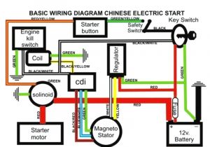150cc Buggy Wiring Diagram Yerf Dog Engine Diagram Wiring Diagram