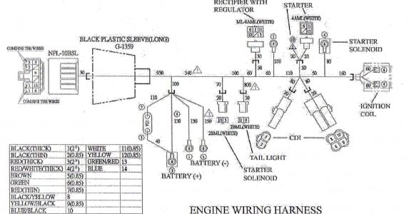 150cc Go Kart Wiring Diagram Howhit Go Kart Wiring Diagram Wiring Diagram Autovehicle