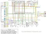 150cc Gy6 Wiring Diagram Tank 150cc Scooter Wiring Diagram Wiring Diagram View