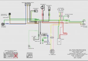 150cc Scooter Wiring Diagram Wiring Diagram for Gy6 150cc Scooter Wiring Diagrams Show