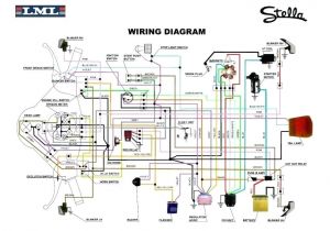 150cc Sunl Go Kart Wiring Diagram Yerf Dog Engine Diagram Wiring Diagram