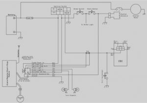 150cc Sunl Go Kart Wiring Diagram Yerf Dog Rover Wiring Diagram Wiring Diagram