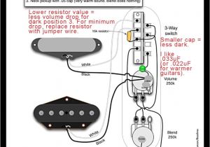 1763 Nc01 Wiring Diagram No tone Wiring Diagrams Telecaster Wiring Library