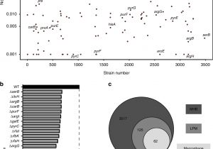1794 Ie12 Wiring Diagram A Macrophage Based Screen Identifies Antibacterial Compounds