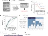 1794 Ie12 Wiring Diagram Lncrna Glcc1 Promotes Colorectal Carcinogenesis and Glucose