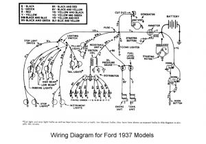 1936 ford Wiring Diagram Flathead Electrical Wiring Diagrams 1936 ford Wiring Diagram Flathead Electrical Wiring Diagrams