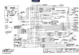 1957 Chevy Truck Wiring Diagram Chevrolet Turn Signal Wiring Diagram Free Download Premium Wiring 1957 Chevy Truck Wiring Diagram Chevrolet Turn Signal Wiring Diagram Free Download Premium Wiring
