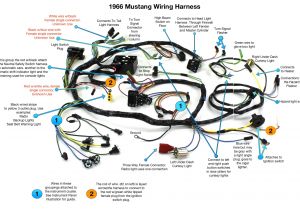 1965 Mustang Wiring Harness Diagram Gt Wiring Harness Wiring Diagram Blog