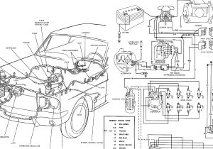 1966 ford Mustang Wiring Harness Diagram Lelus 66 Mustang 1966 Mustang Wiring Diagrams 1966 ford Mustang Wiring Harness Diagram Lelus 66 Mustang 1966 Mustang Wiring Diagrams