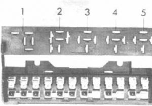 1977 Vw Beetle Wiring Diagram Volkswagen Beetle 1954 1979 All Models Fuse Box 1977 Vw Beetle Wiring Diagram Volkswagen Beetle 1954 1979 All Models Fuse Box