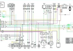 1978 Honda Pa50 Wiring Diagram Click Wiring Diagram Database Wiring Diagram