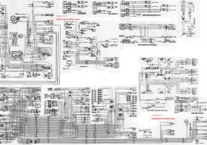 1979 Corvette Wiring Diagram 1979 Corvette Fuse Diagram Wiring Diagram Split 1979 Corvette Wiring Diagram 1979 Corvette Fuse Diagram Wiring Diagram Split