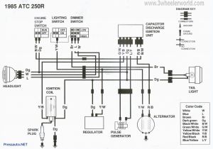 1979 Suzuki Gs750 Wiring Diagram Suzuki 600 Wiring Diagram Wiring Diagram Database