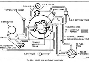 1979 Trans Am Wiring Diagram Vacuum Hose Diagram as Well 1979 Trans Am Vacuum Diagram Moreover