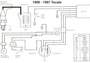 1980 Honda atc 110 Wiring Diagram Honda 125 Wiring Diagram Wiring Diagrams